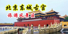 大逼色免费站点看片中国北京-东城古宫旅游风景区